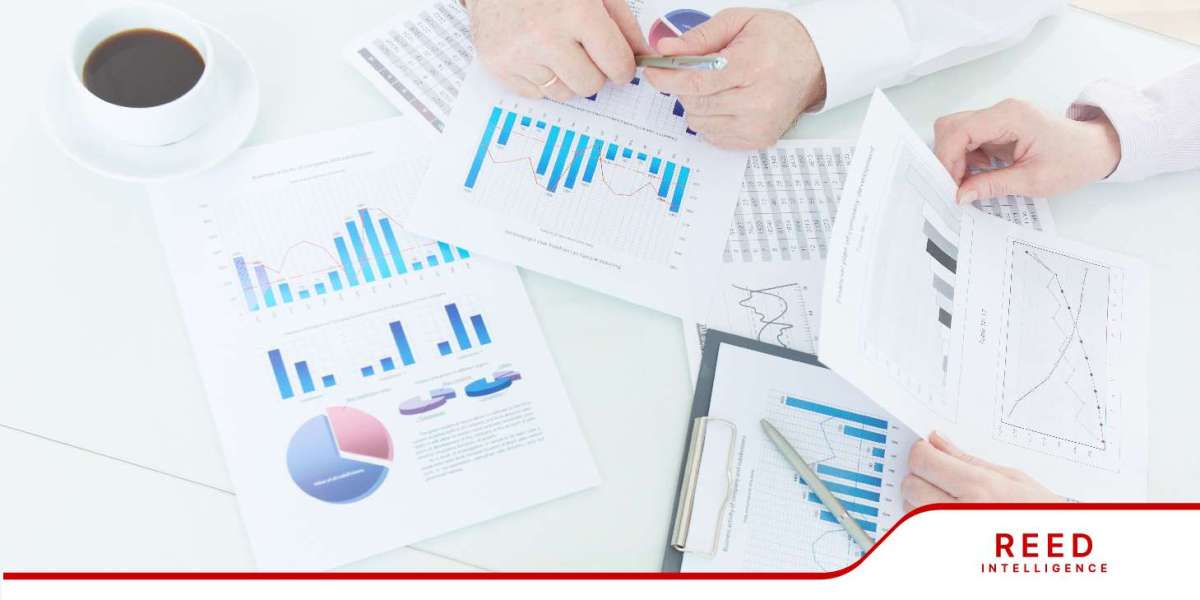 Magnesite Clinkers Market Size, Share and Trends by Forecast 2024-2032 | Reed Intelligence