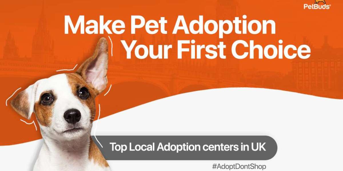 Why Pet Adoption Should Be Your First Choice?