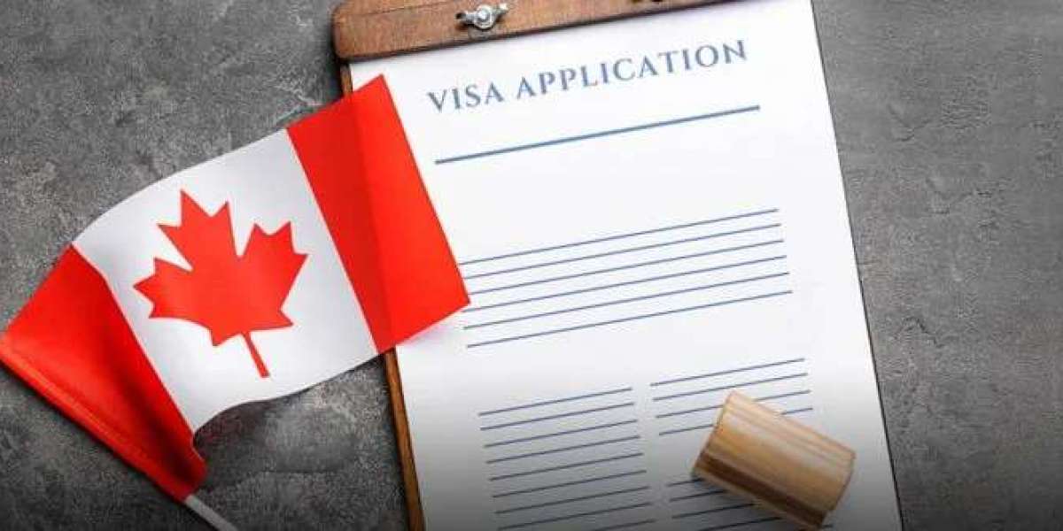 How an Immigration Consultant in Gurgaon Can Unlock Your Future Life