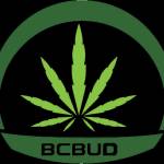 bcbud kw profile picture